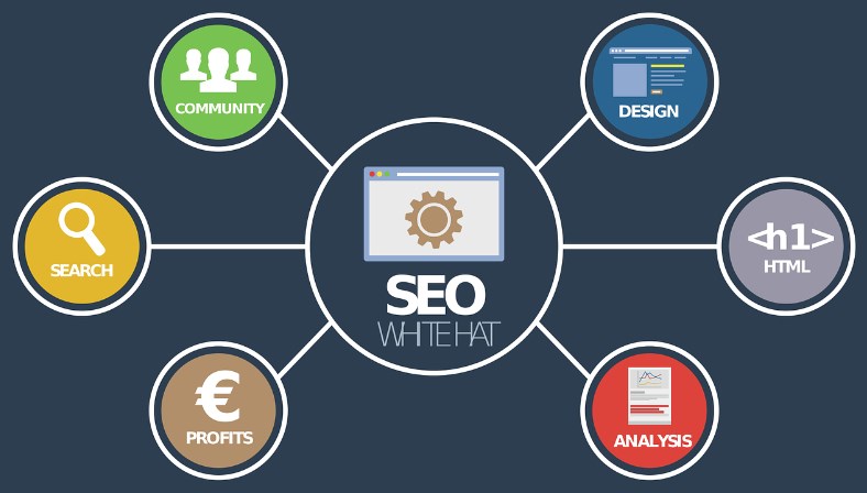 Специалист SEO продвижения и оптимизации сайта – описание профессии и где учиться